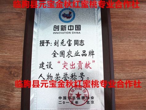点击查看详细信息<br>标题：正宗金秋红蜜桃研发人刘元宝被评为2014-2015年度全国农业品牌建设“突出贡献”人物荣誉称号 阅读次数：2184