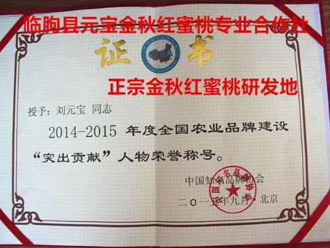 点击查看详细信息<br>标题：正宗金秋红蜜桃研发人刘元宝被评为2014-2015年度全国农业品牌建设“突出贡献”人物荣誉称号 阅读次数：2157