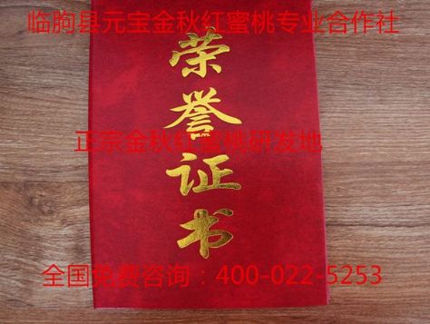 点击查看详细信息<br>标题：正宗金秋红蜜桃研发人刘元宝被评为2014-2015年度全国农业品牌建设“突出贡献”人物荣誉称号 阅读次数：2220