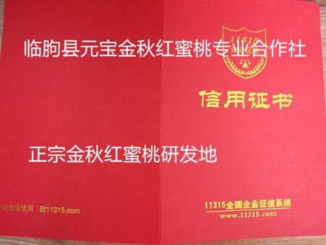 点击查看详细信息<br>标题：临朐县元宝金秋红蜜桃专业合作社被评为315评为诚信单位 阅读次数：2121