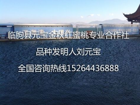 点击查看详细信息<br>标题：2014年云南大理冬季技术服务跟踪服务 阅读次数：2022