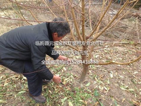 点击查看详细信息<br>标题：2014年西安冬季技术跟踪服务 阅读次数：2021