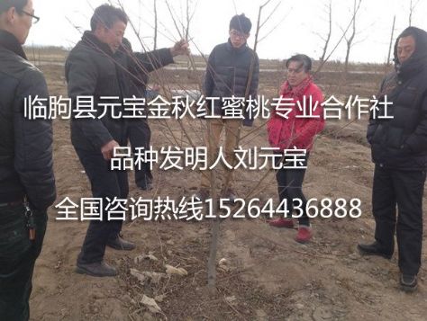 点击查看详细信息<br>标题：2014年青岛冬季技术跟踪服务 阅读次数：2144