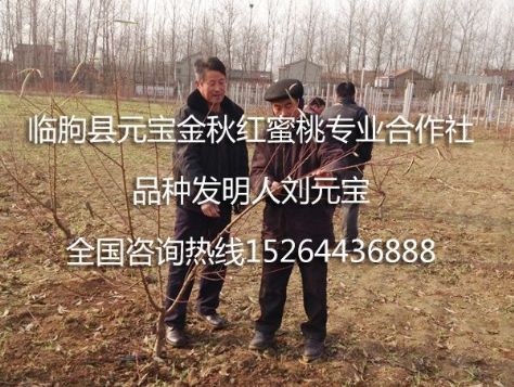 点击查看详细信息<br>标题：2014年江苏淮安冬季技术跟踪服务 阅读次数：1946
