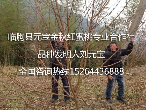点击查看详细信息<br>标题：2014年冬季浙江丽水技术跟踪服务 阅读次数：2021
