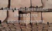 点击查看详细信息<br>标题：果袋 阅读次数：1808