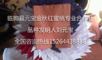 点击查看详细信息<br>标题：果袋 阅读次数：1671