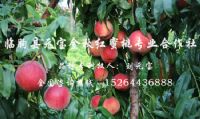 点击查看详细信息<br>标题：基地风采 阅读次数：3991