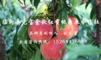 点击查看详细信息<br>标题：基地风采 阅读次数：3803