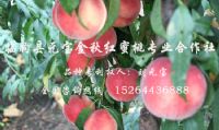 点击查看详细信息<br>标题：基地风采 阅读次数：3757