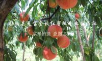 点击查看详细信息<br>标题：基地风采 阅读次数：3877
