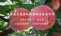 点击查看详细信息<br>标题：基地风采 阅读次数：3961
