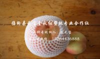 点击查看详细信息<br>标题：基地风采 阅读次数：3609