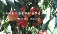 点击查看详细信息<br>标题：基地风采 阅读次数：3841