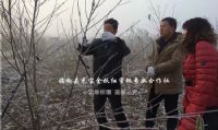 点击查看详细信息<br>标题：2017年冬季河南省郑州技术指导跟踪服务 阅读次数：1962