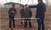点击查看详细信息<br>标题：2017年冬季河南周口技术指导跟踪服务 阅读次数：1894