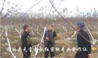 点击查看详细信息<br>标题：2017年冬季浙江温岭技术指导跟踪服务 阅读次数：1900